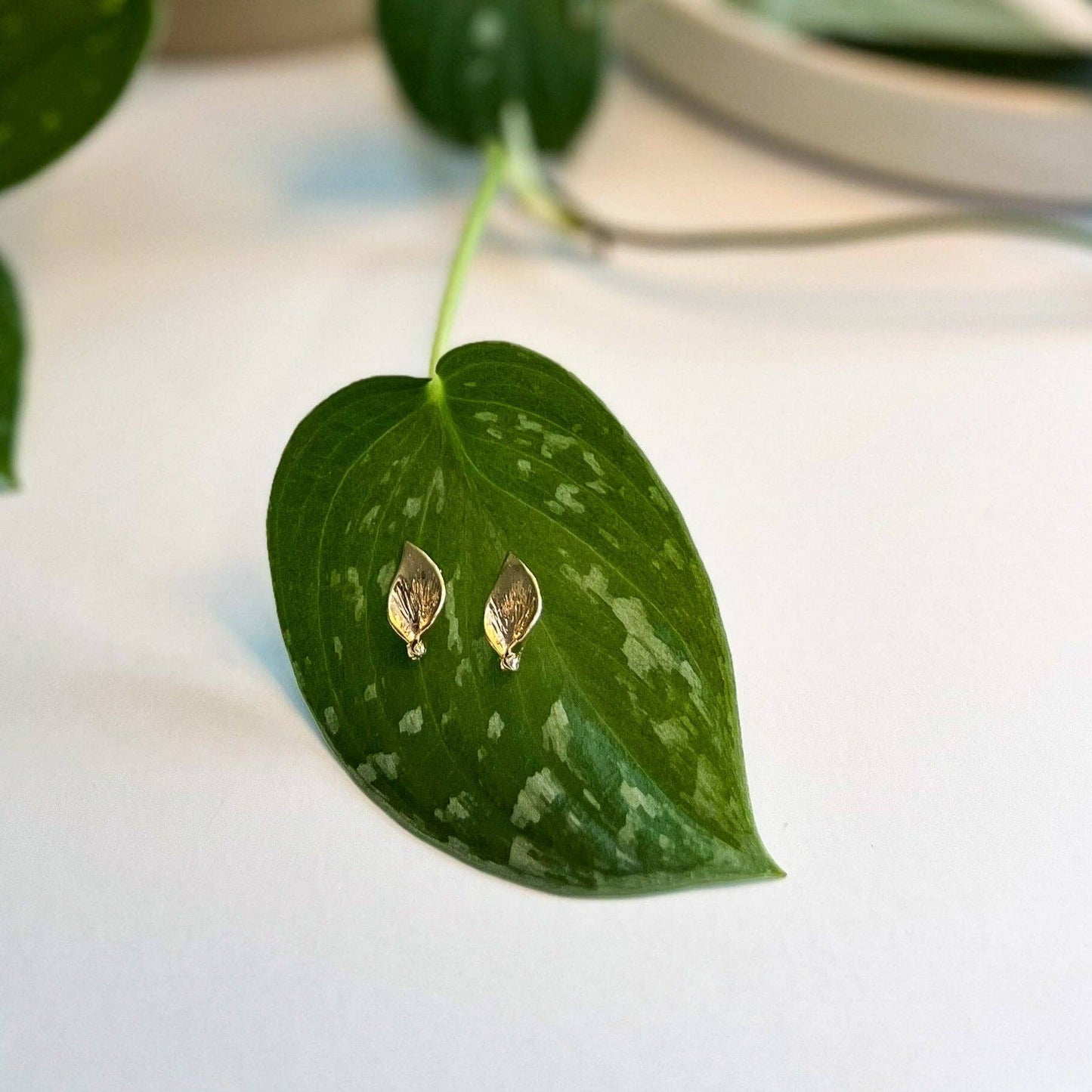 Pothos Stud Earring